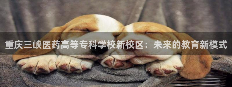 九游会账号登录网址