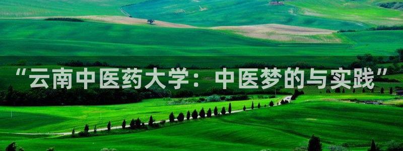 九游会手机登陆