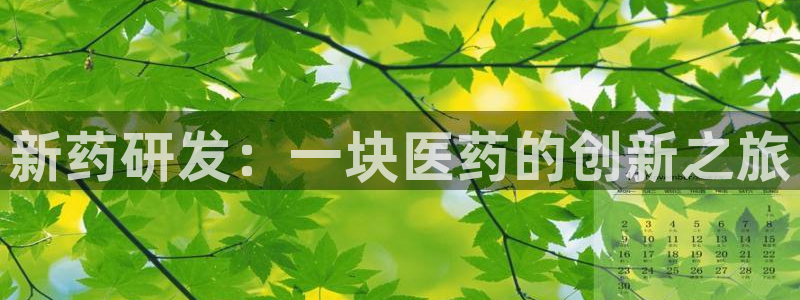 九游会ag亚洲