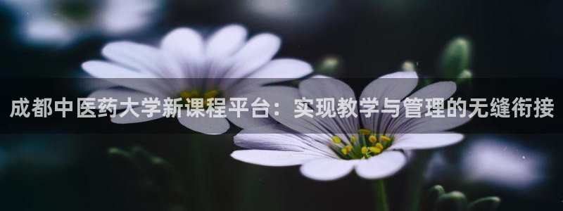 j9九游会首页入口