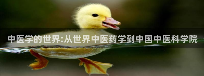j9九游会不出款