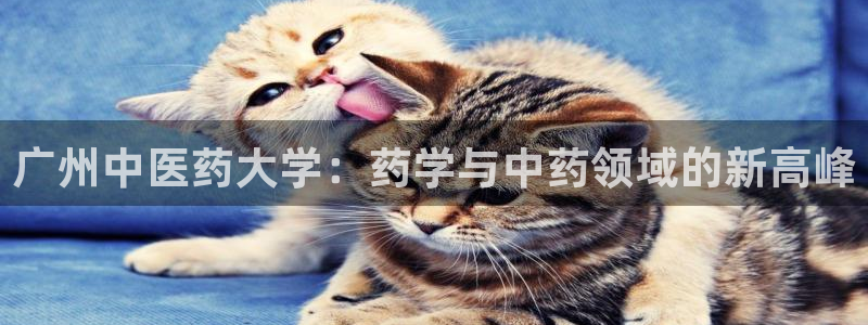j9九游会中国