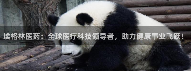 九游会j9官网登陆：
