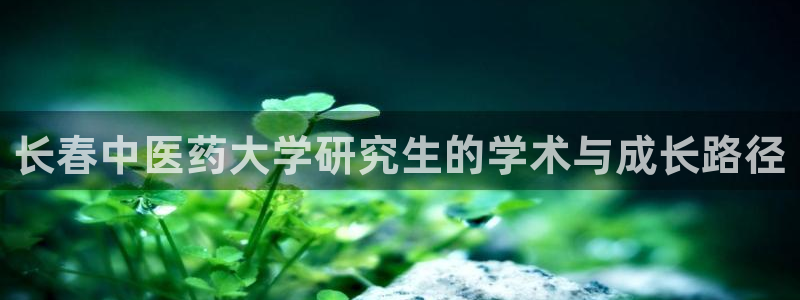 j9游会真人游戏第一品牌