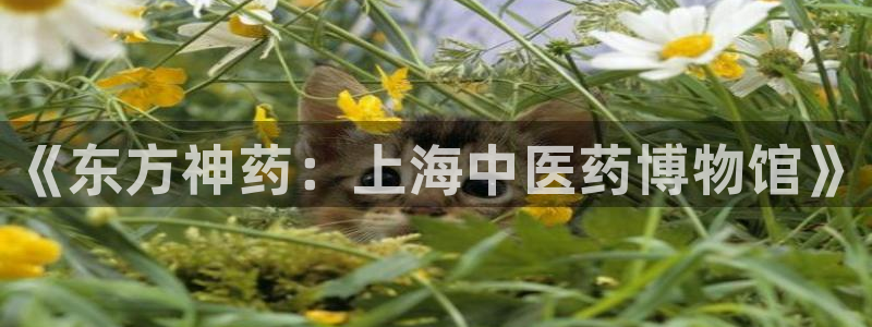 九游会首页登陆