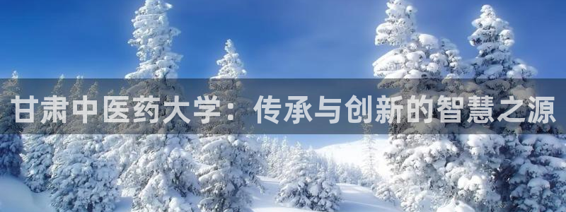 九游会游戏官方登录