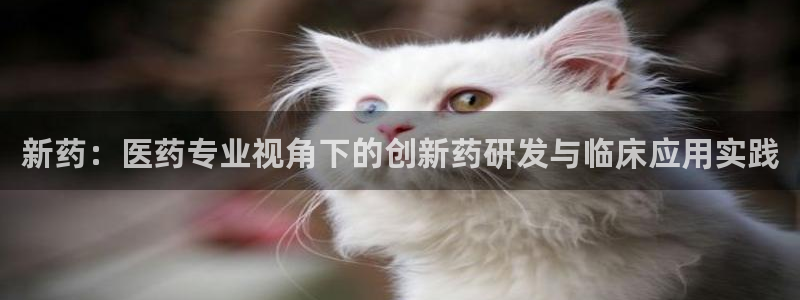 九游会ag官方平台