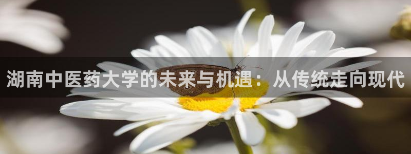 九游会是真的吗