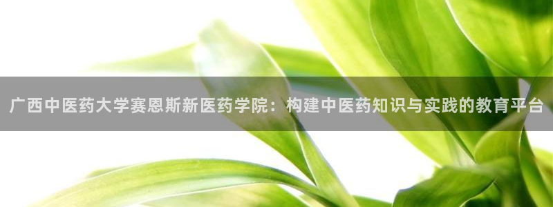 九游会是什么平台