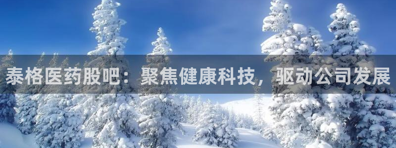 九游会app下载版官网正版