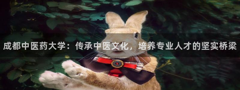 九游会国际站