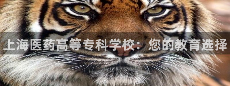 ag怎么变成九游会了