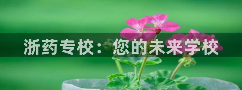 九游会登陆地址：浙药 