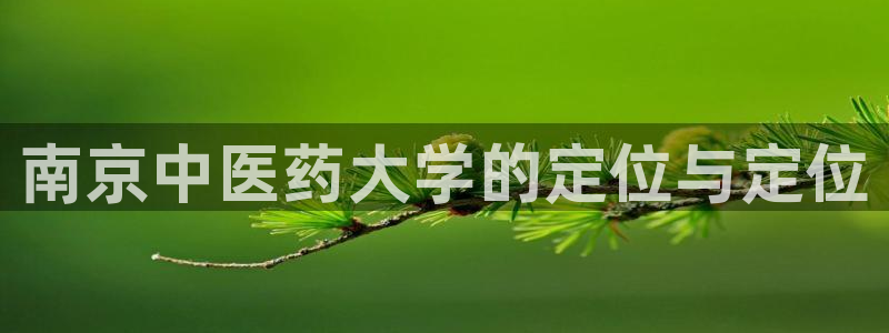 九游会登不上