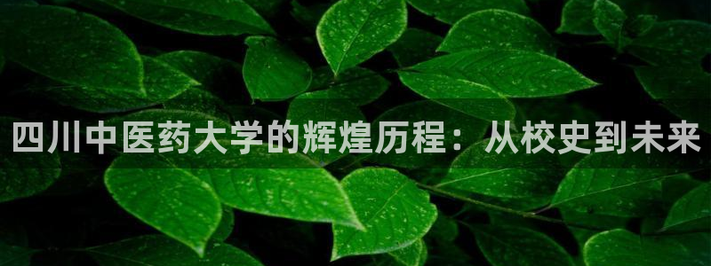 九游会跟ag是怎么一回事