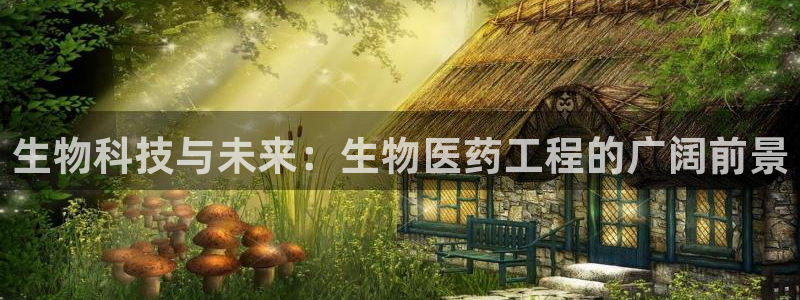 九游会网站打不开了