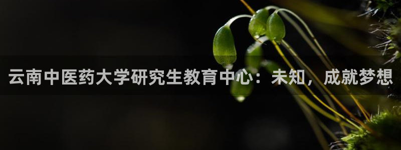 九游会游戏平台