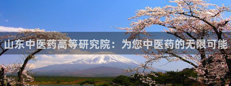 九游会集团货币