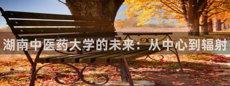 九游会平台登录不上