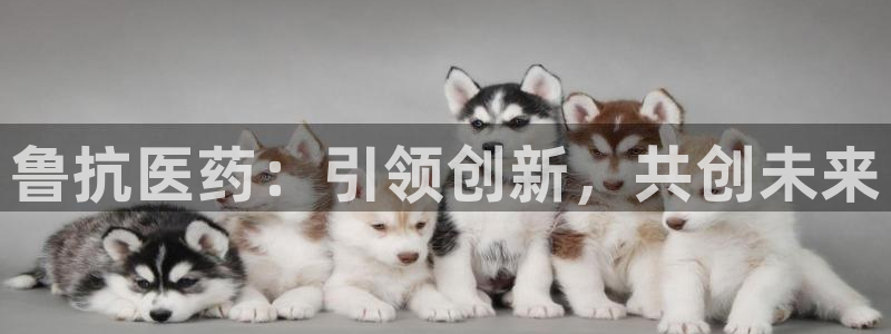 九游会登录网站