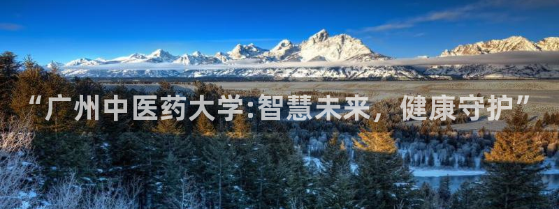 J9九游会强势登录