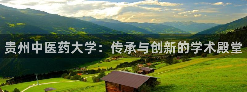 九游会AG登录入口