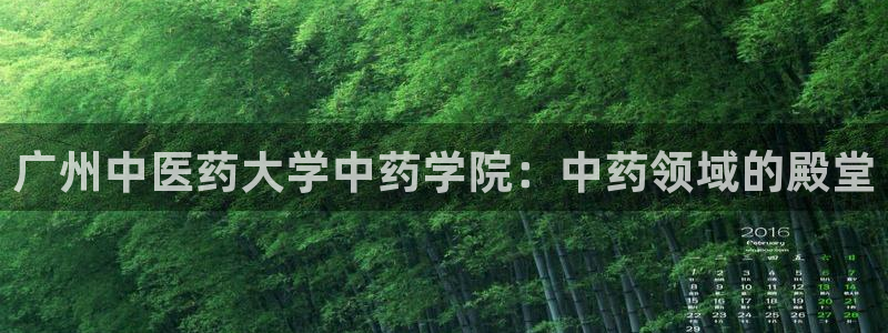 九游会网址登录不上