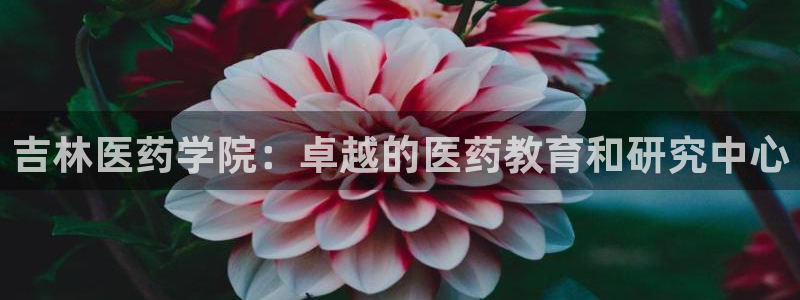 九游会官方网站登录