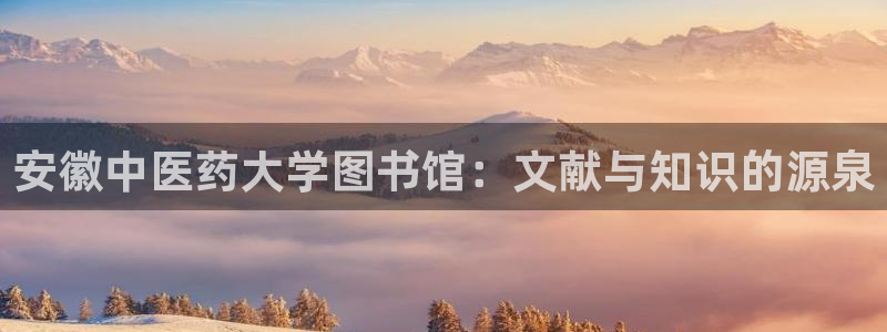 J9九游会强势登录