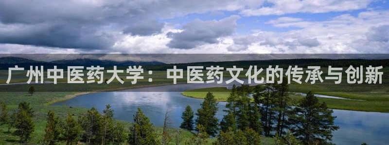 九游会官网网址是多少