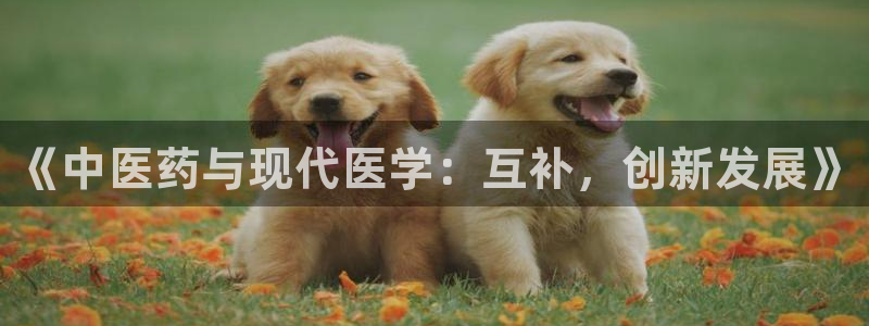 九游会是什么平台