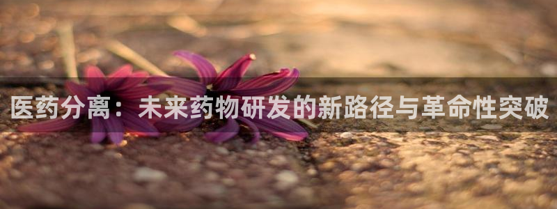 九游会是什么组织