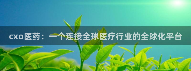 九游会官网开会