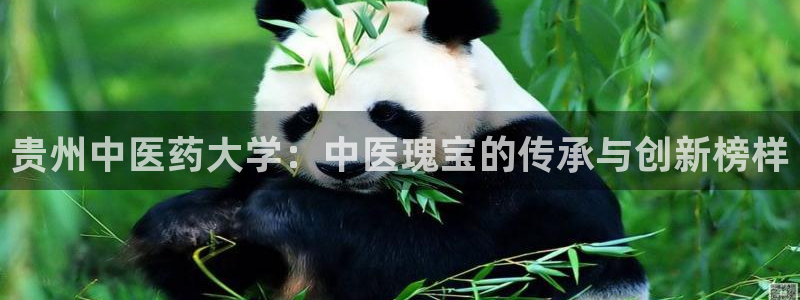 九游会上不去了