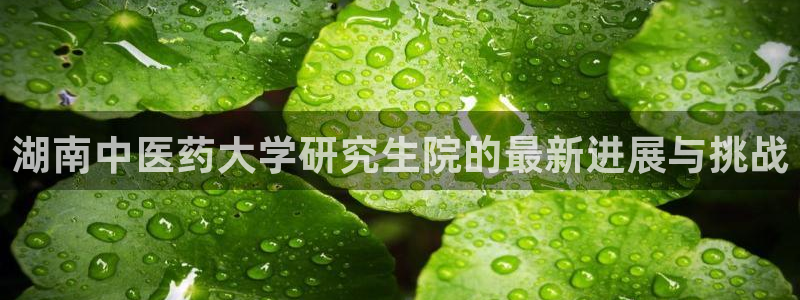 九游会是干嘛的：湖南