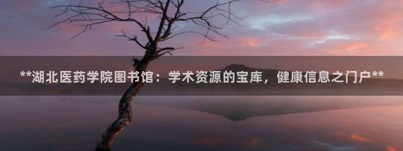 九游会官网下载不了吗