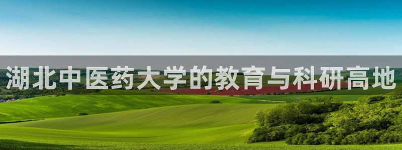 九游会吧