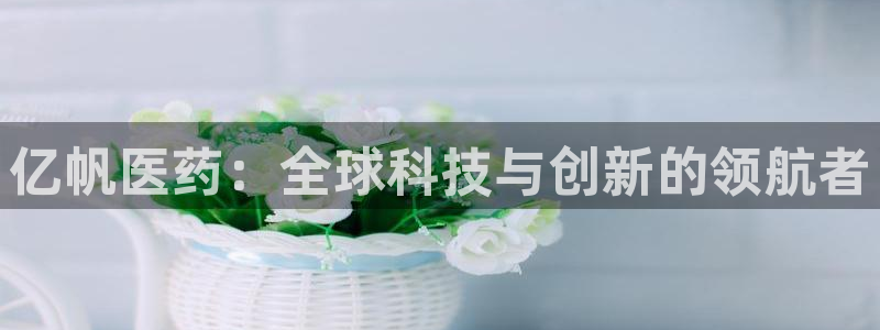 九游会 a g