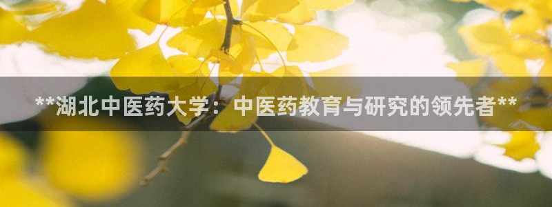 九游会平台j9