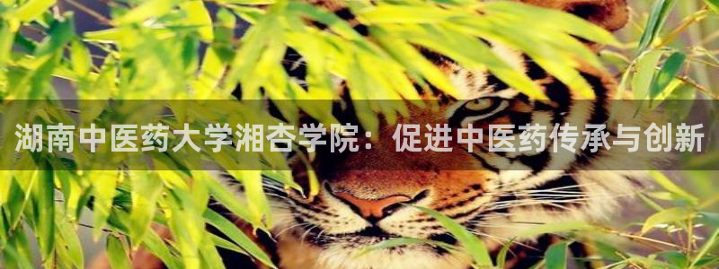 九游会J9登录入口