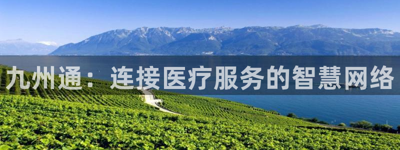 九游会老哥俱乐部官网