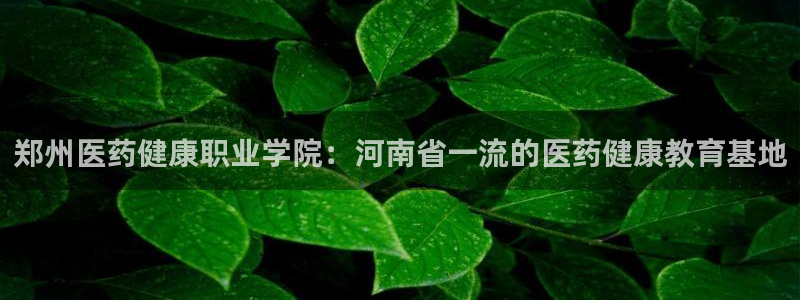 九游官网j9活动介绍